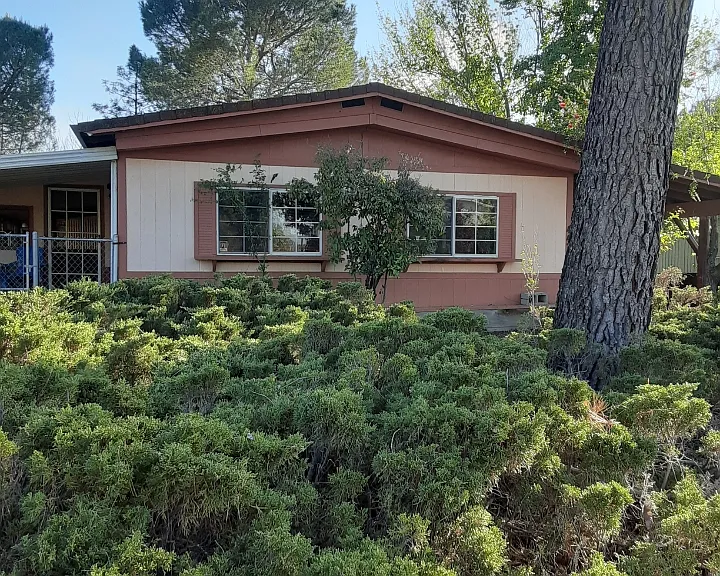 4433 White River Dr — Photo 3