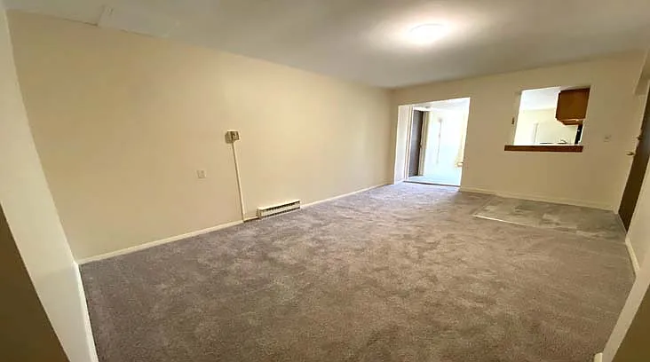1 bed, 350 sqft, $870 — Photo 3
