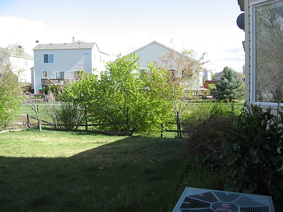 Back yard