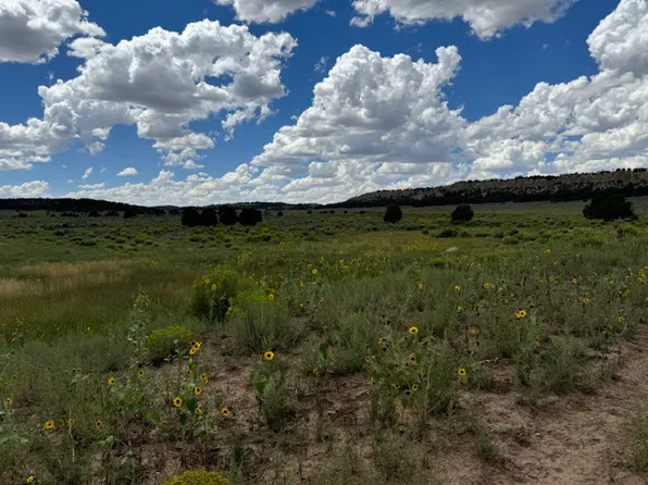 1705 State Road 96, Gallina, NM 87017