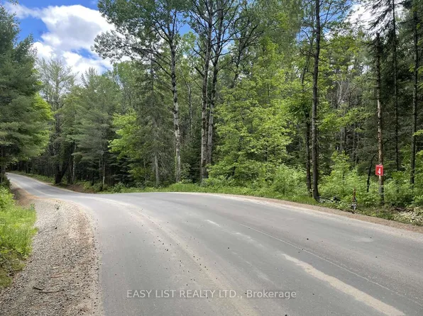 0 Dwight Beach Rd, Lake Of Bays, ON P0A 1H0