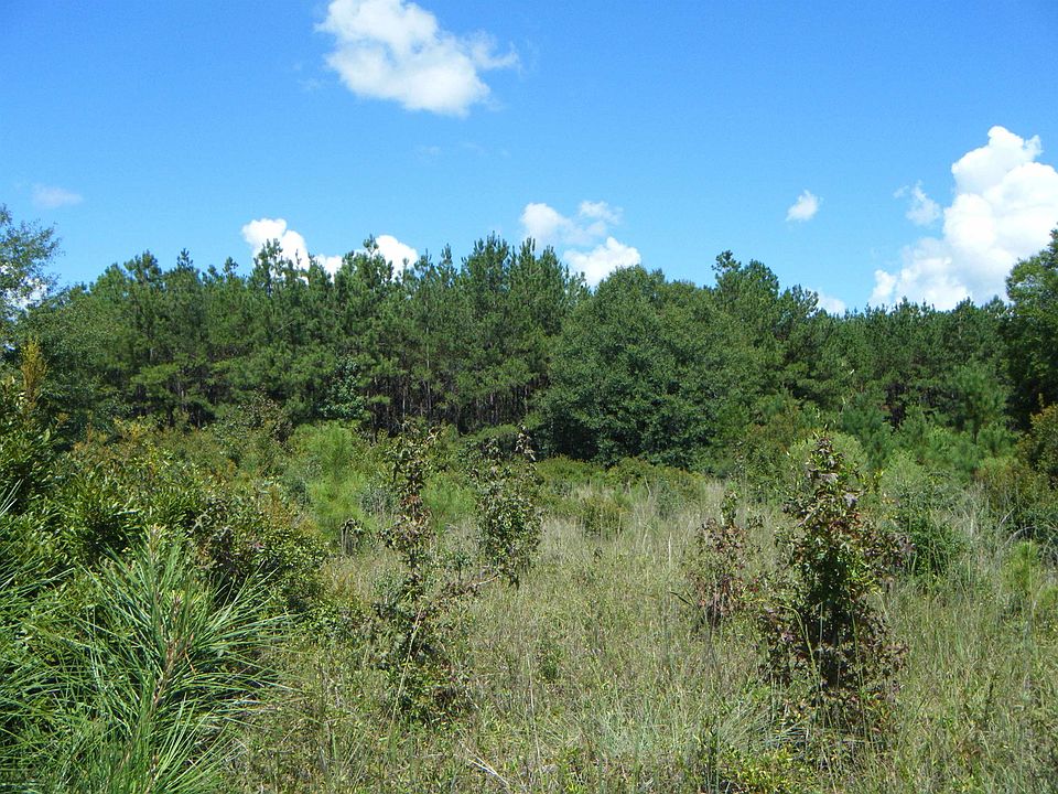 2nd image of W Fm 1013