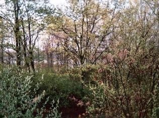 14938 Glastonbury Dr NE, Gowen, MI 49326