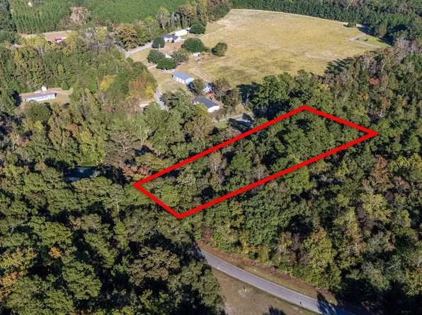 TBD Barnes Rd., Andrews, SC 29510
