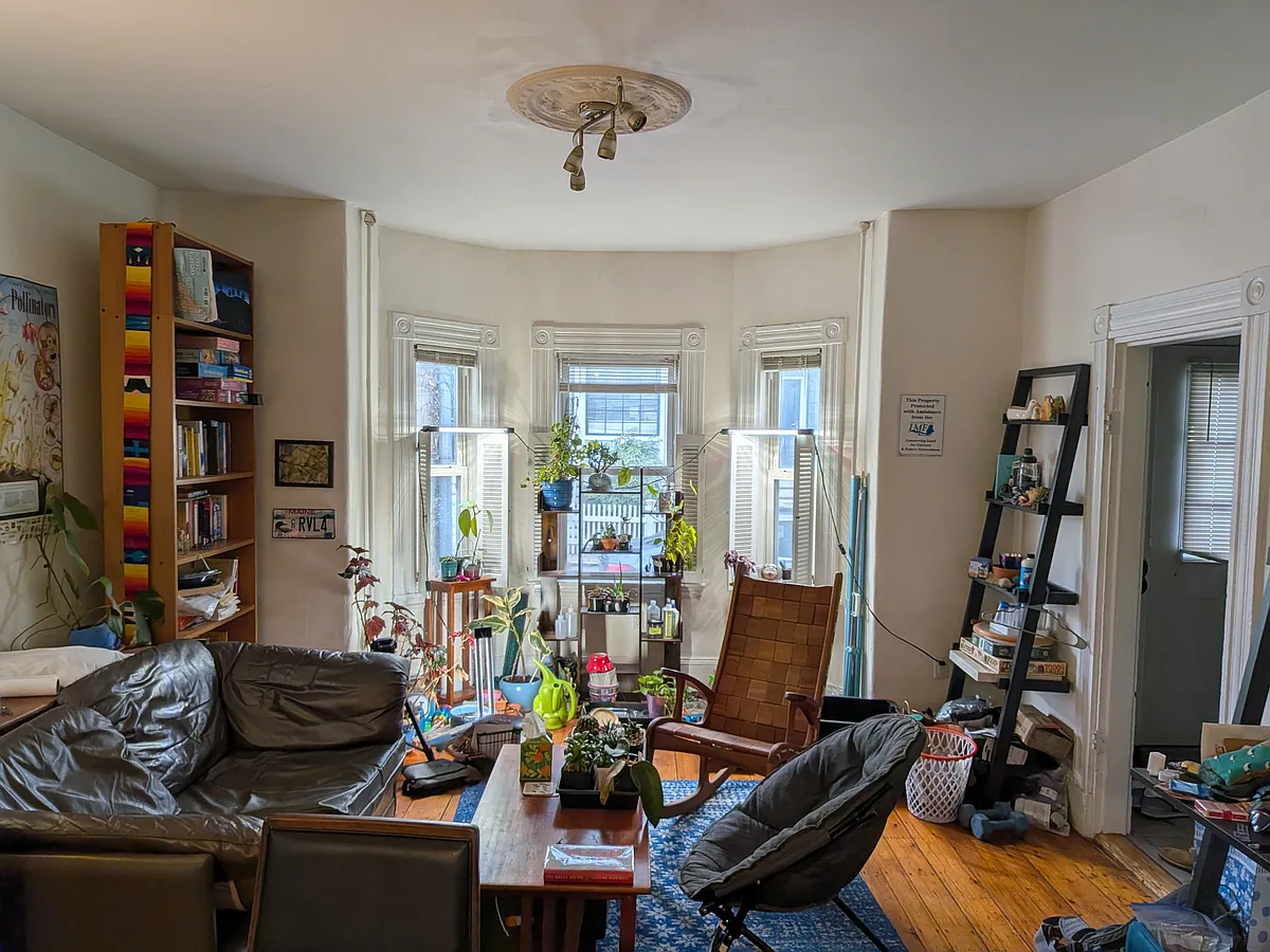 Building Photo - 37 Skehan St #1