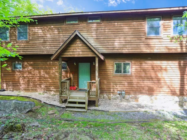 1731 Cabin Mountain, Davis, WV 26260