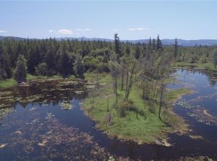 39601 Tanwax Rd S, Roy, WA 98580