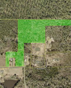 1001 Memorial Church Rd, Longville, LA, 70652