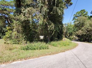 14 Spring Ln #14, Pointblank, TX 77364