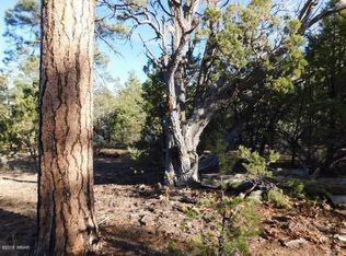 Tbd Lejo Rd, Overgaard, AZ 85933