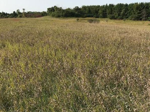 Pine Bluff Rd NW #SITE15, Pine Island, MN 55963