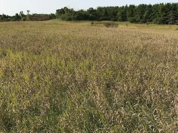 Island Estates Site12 Dr NW, Pine Island, MN 55963