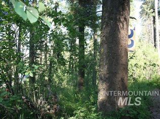 11 Valley View Way, Lowman, ID 83637