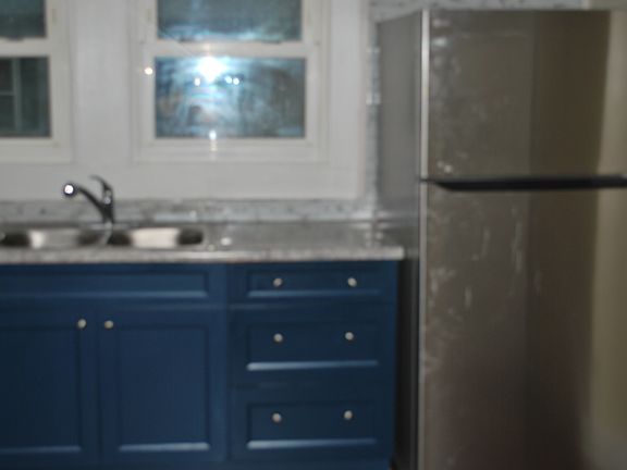 3rd image of 219 Dingler Ave