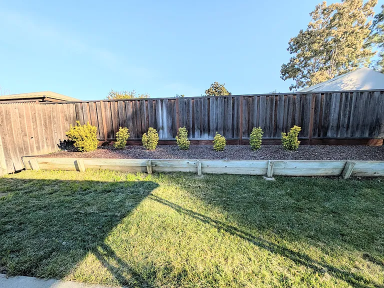 Backyard - view 1
