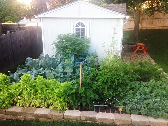 Shed/Garden