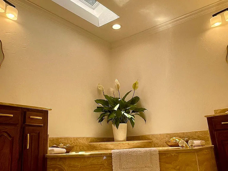 Glamor Master Bath
Huge step up Jetted Spa Tub
& Sky Light