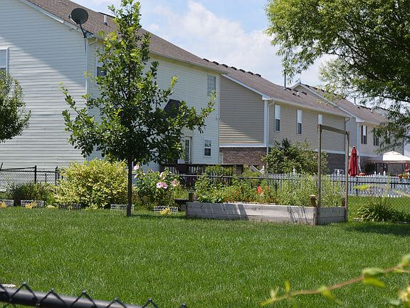 Raised bed&Many perennials