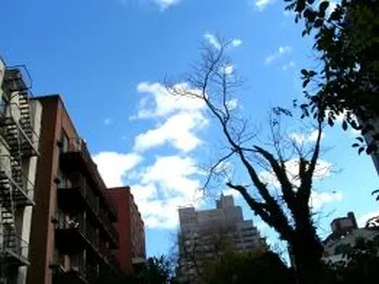 Rented by Prince Real Estate Associates LLC | media 53