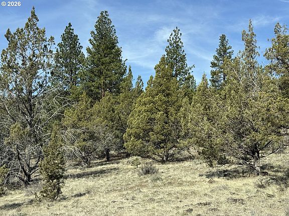 3rd image of Off Hwy #140-900