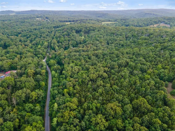 10011 Koester Springs Rd, French Village, MO 63036
