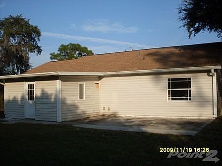 Back View