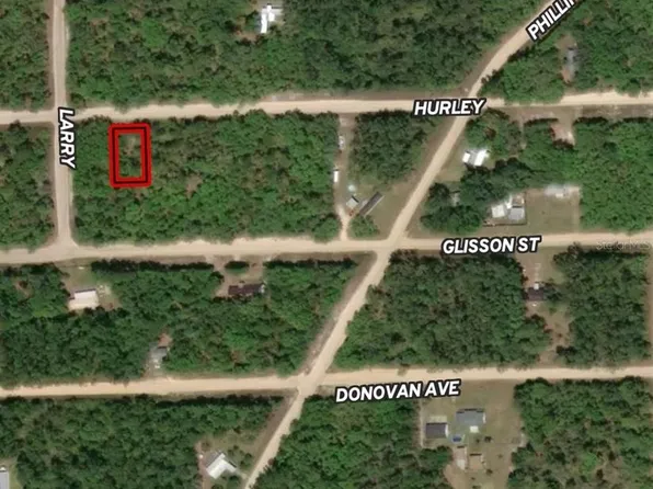 LOT 2 Hurley St Lot 2, Interlachen, FL 32148