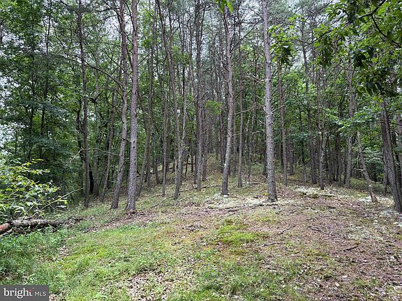 5th image of LOT 126 Bluffs Blue Beach Rd