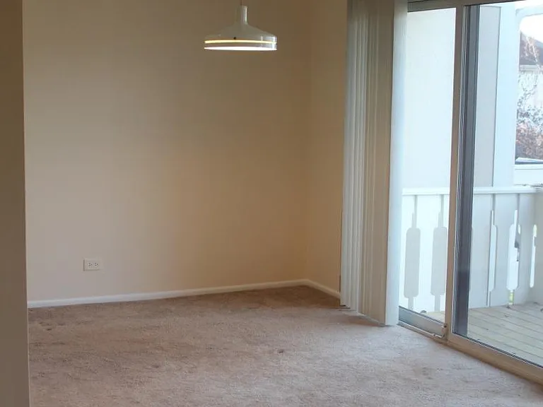 1054 Deerpath Ct — Photo 4