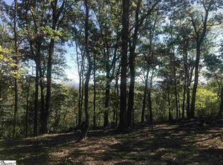 143 Raptor Way, Landrum, SC 29356