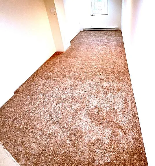 27 Sunshine Rd #1 — Photo 7