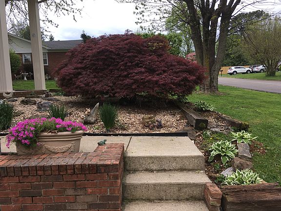 4th image of 208 Castleridge Dr