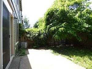 back yard
