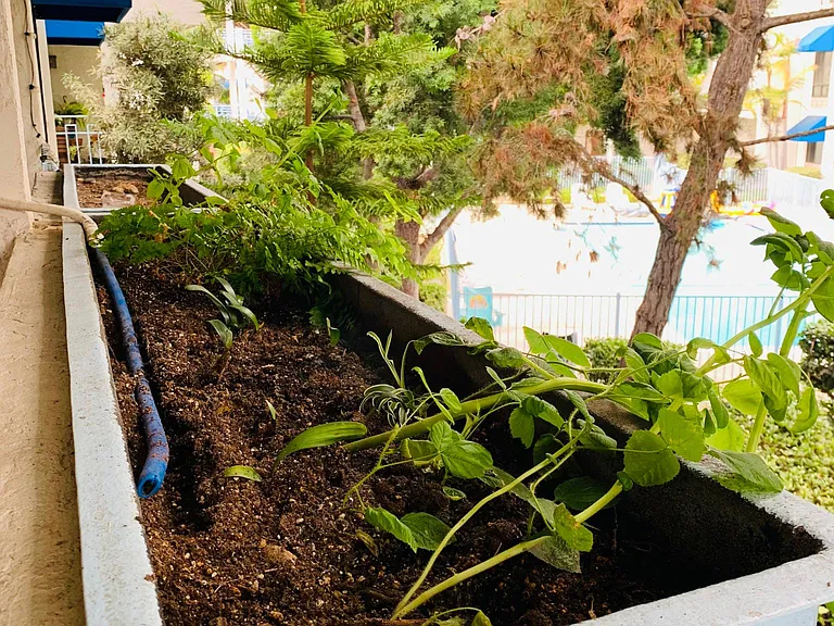 Balcony planter with irrigation