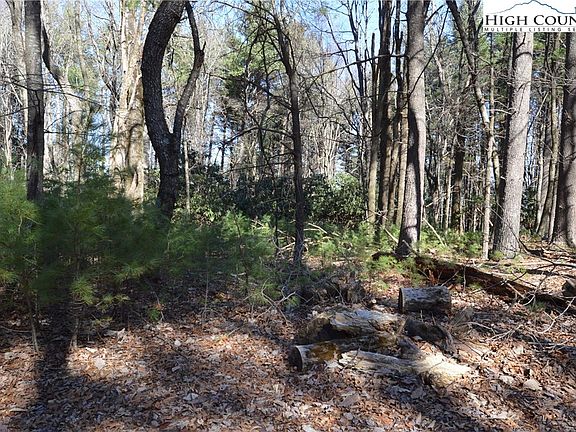 5th image of TBD Pine Grove Circle