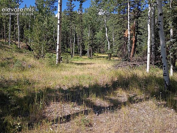 2nd image of 146 Waterfall Rd