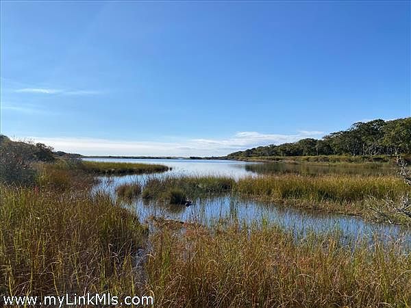 View of pond from shoreline