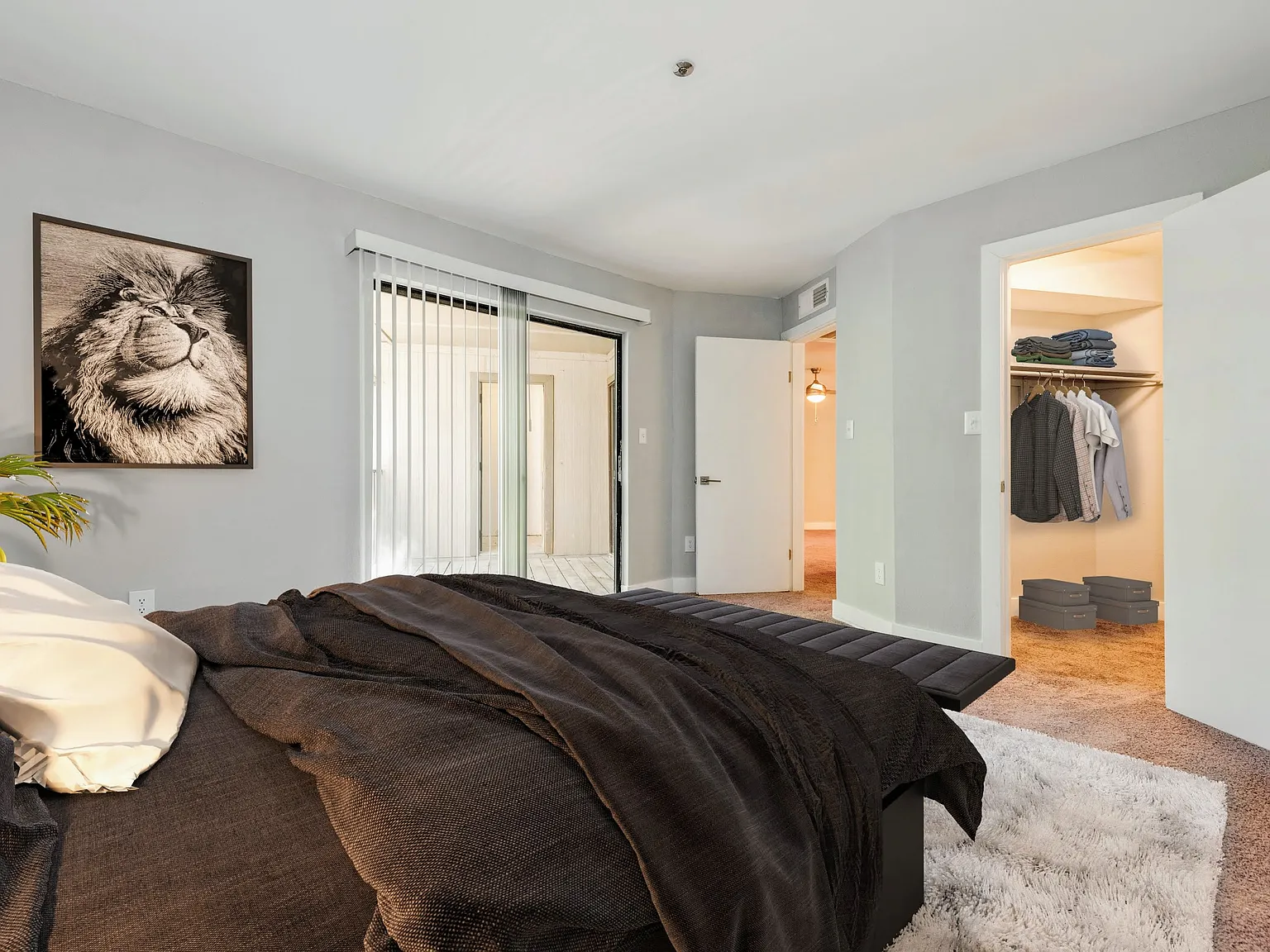 Woodford Apartments — Photo 4
