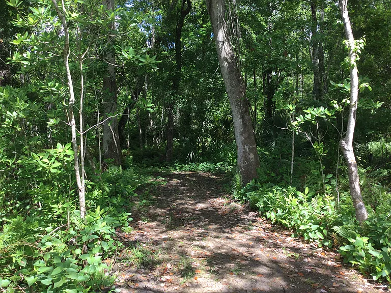 2452 Fawn Run #SW — Photo 17