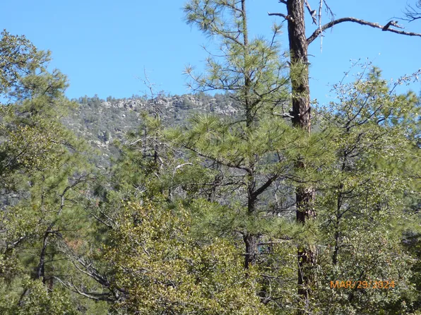 11P N Donnas Way, Pine, AZ 85544