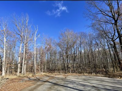 0 S Pinson Dr, White House, TN, 37188