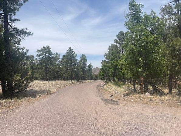 30 Hop Canyon Rd, Magdalena, NM 87825
