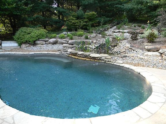 Kidney Shaped Heated Pool