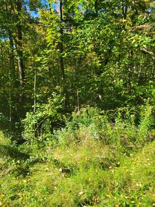 0 Blueberry Hill Road, Winterport, ME, 04496