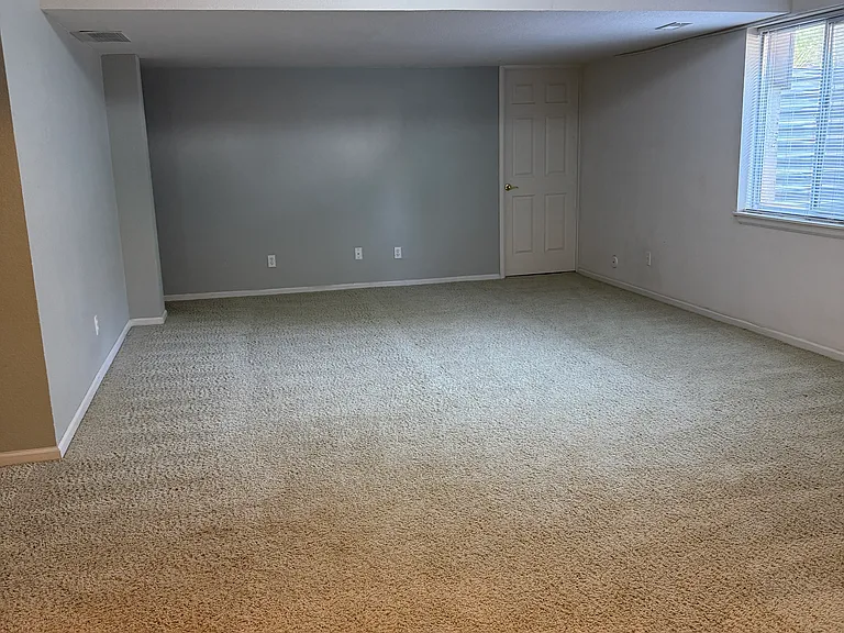 Large Basement Family Room