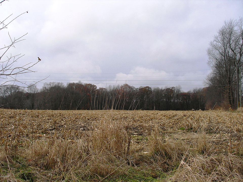 2nd image of Maple Rd