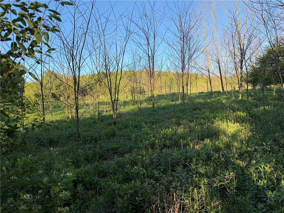 2nd image of 0 County Highway 4