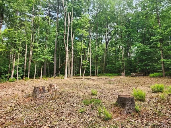 106 Starlight Drive, Monticello, NY 12701