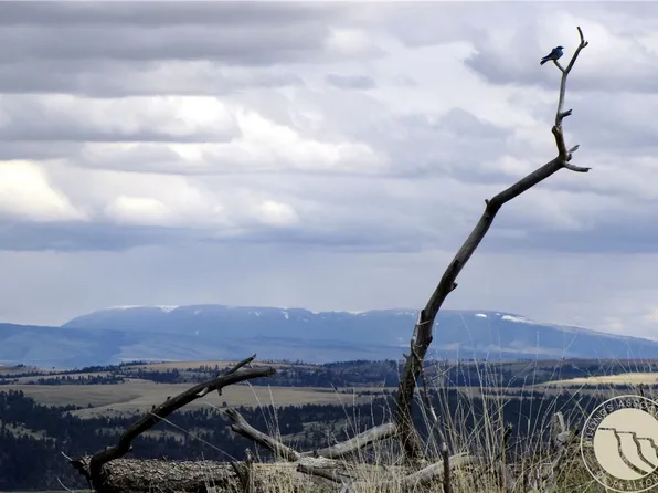 Nhn Wild Turkey Ridge Rd, Columbus, MT 59019
