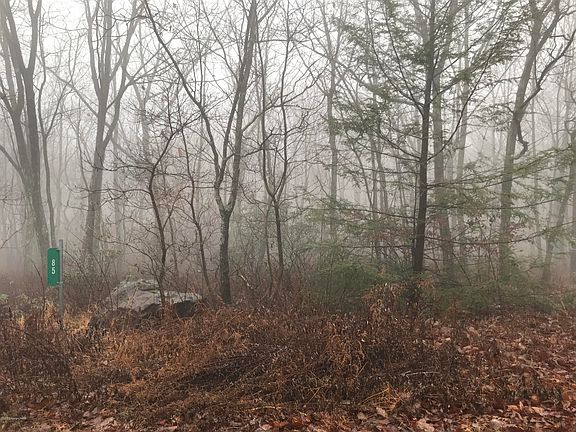 2nd image of 85 Coyote Dr